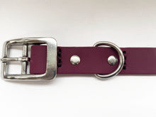 Load image into Gallery viewer, Biothane Waterproof Collar - Wine Red