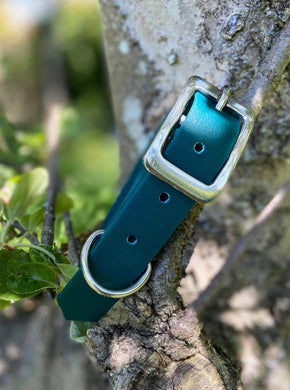 Biothane Waterproof Collar - Forest Green