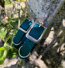 Load image into Gallery viewer, Biothane Waterproof Collar - Forest Green
