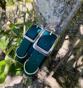 Biothane Waterproof Collar - Forest Green