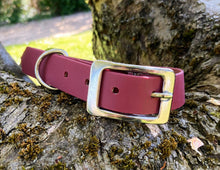 Load image into Gallery viewer, Biothane Waterproof Collar - Wine Red