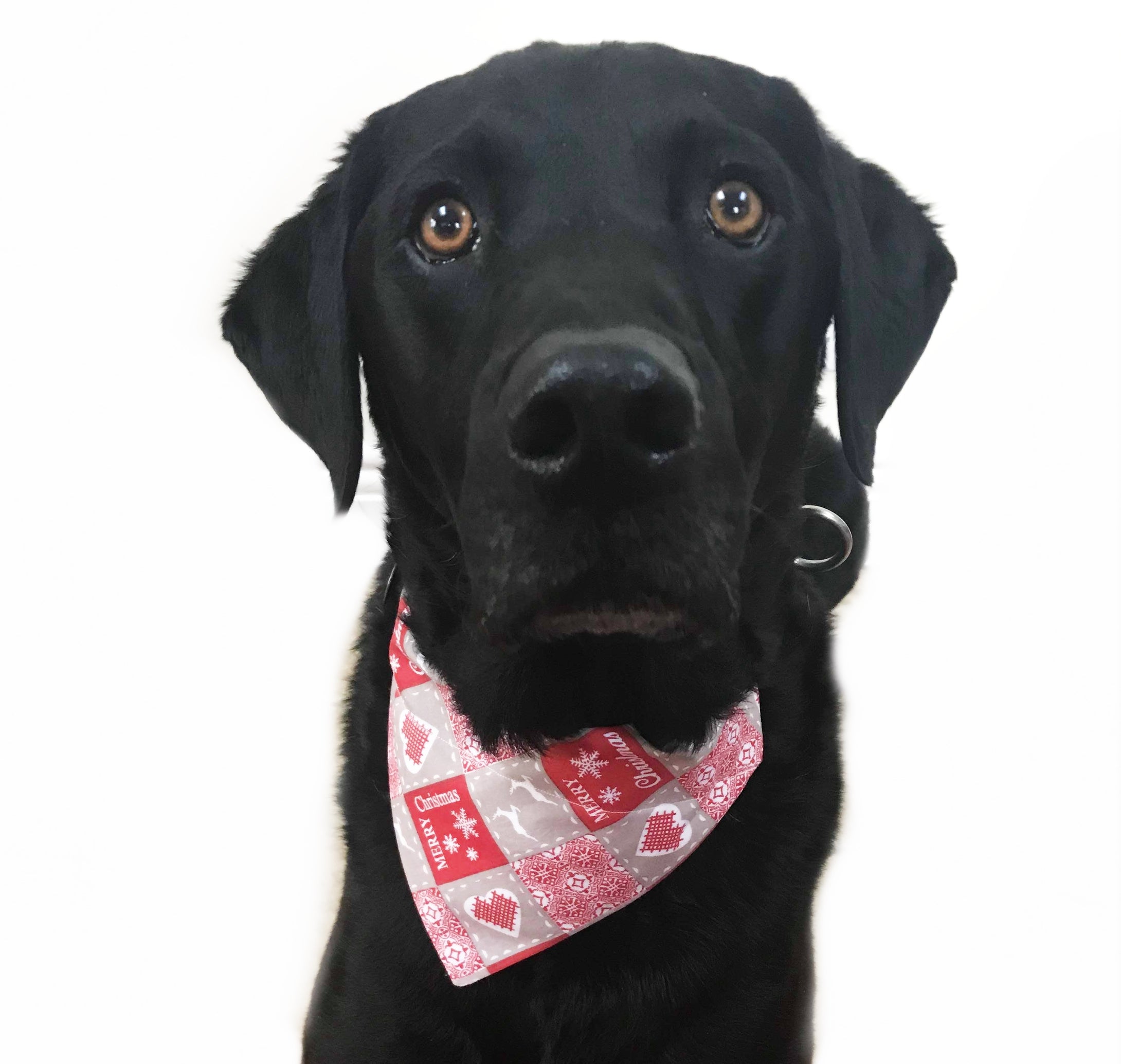 French Christmas Patchwork Bandana