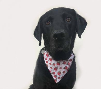 Little Robins Christmas Bandana