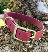 Load image into Gallery viewer, Biothane Waterproof Collar - Wine Red