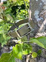 Load image into Gallery viewer, Biothane Waterproof Collar - Olive Green