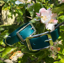 Load image into Gallery viewer, Biothane Waterproof Collar - Forest Green