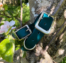Load image into Gallery viewer, Biothane Waterproof Collar - Forest Green