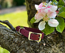 Load image into Gallery viewer, Biothane Waterproof Collar - Wine Red