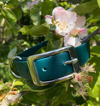 Load image into Gallery viewer, Biothane Waterproof Collar - Forest Green