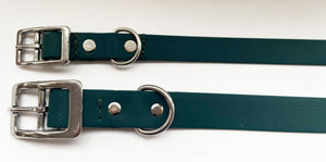 Biothane Waterproof Collar - Forest Green