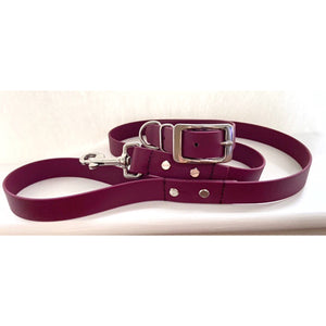 Biothane Matching Lead - All Colours