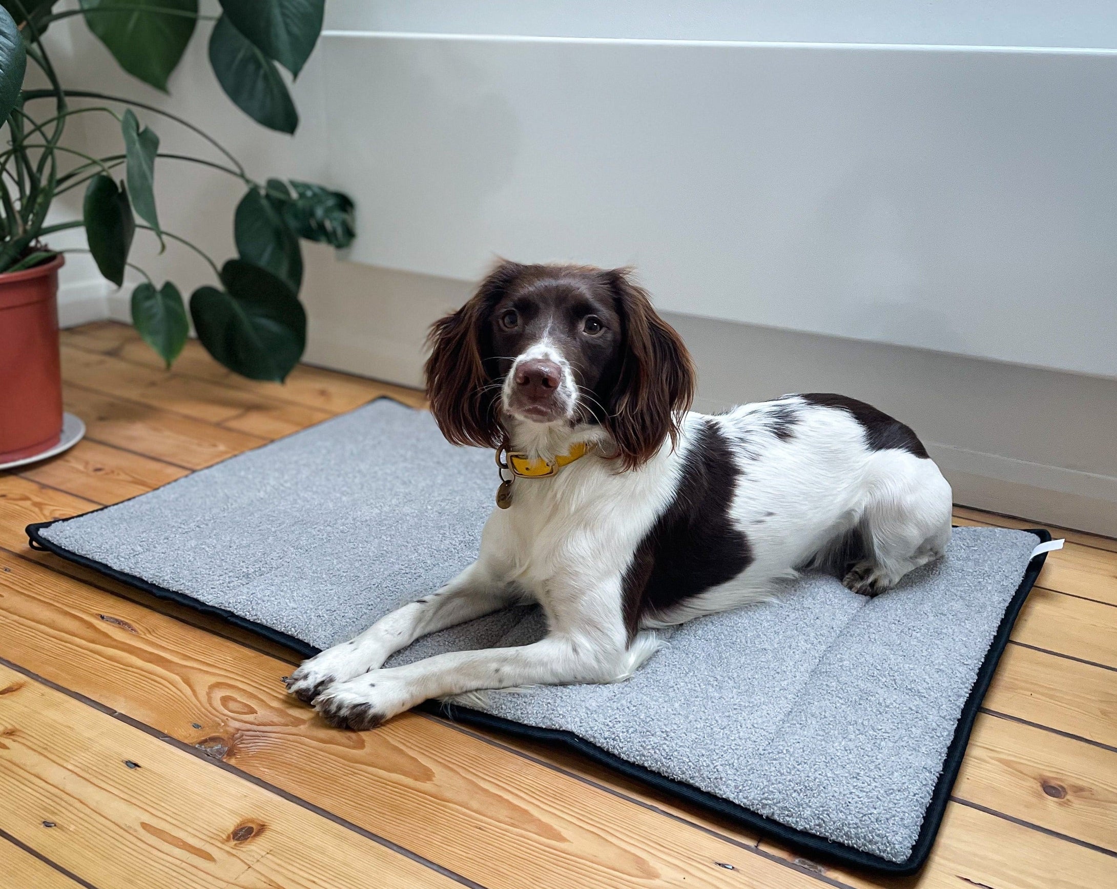 ECO Travel Mat
