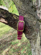 Load image into Gallery viewer, Biothane Waterproof Collar - Wine Red/Brass