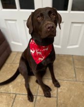 Load image into Gallery viewer, Red Reindeer Christmas Bandana