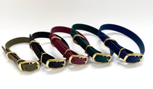 Load image into Gallery viewer, Biothane Waterproof Collar - Turquoise/Brass