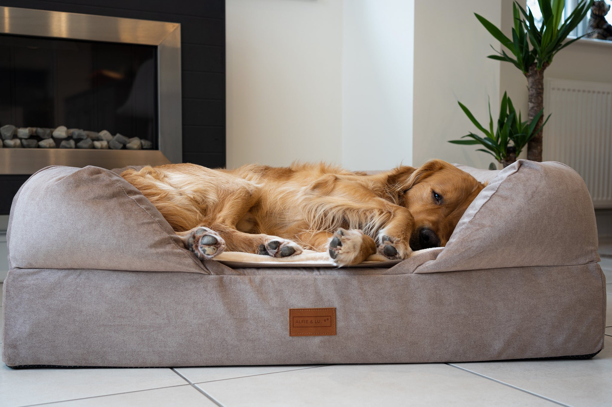 Lounger bed best sale