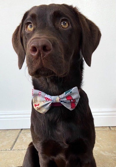 Christmas Goodies Bow Tie