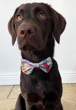 Load image into Gallery viewer, Christmas Goodies Bow Tie