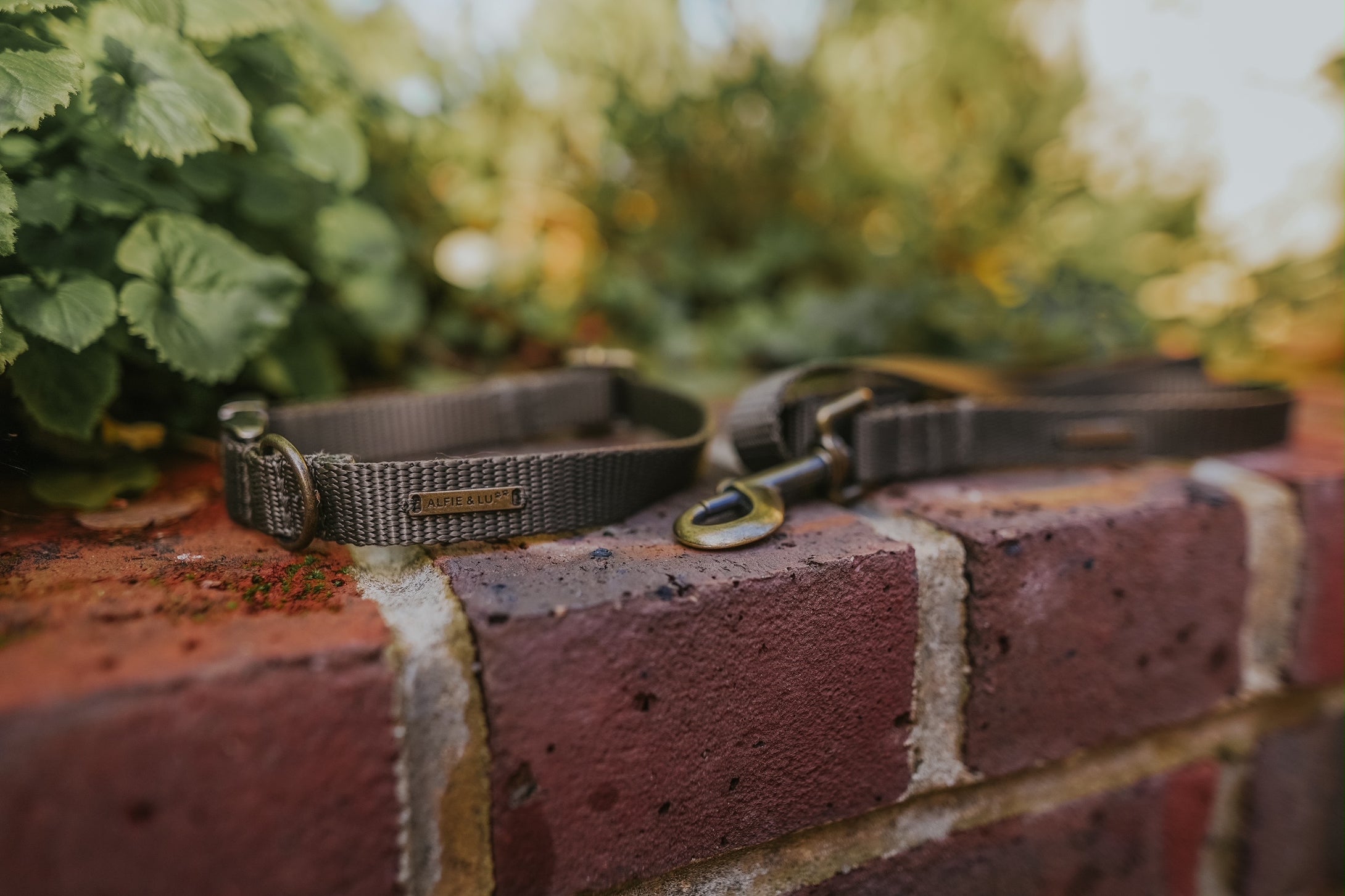 Classic Collar Collection - Olive Green