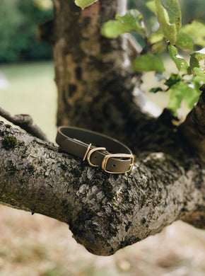 Biothane Waterproof Collar - Olive Green/Brass