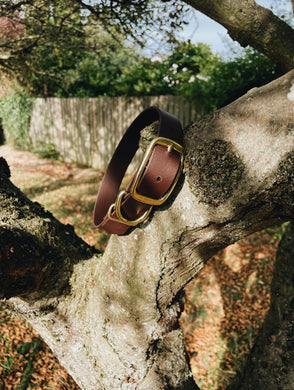 Biothane Waterproof Collar - Brown/Brass