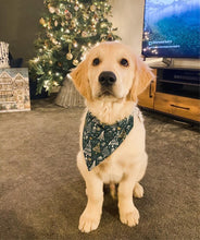 Load image into Gallery viewer, Glittery Christmas Bandana - Green