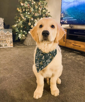 Glittery Christmas Bandana - Green