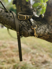 Load image into Gallery viewer, Biothane Waterproof Collar - Olive Green/Brass