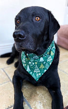 Load image into Gallery viewer, Glittery Christmas Bandana - Green