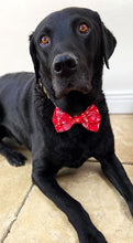 Load image into Gallery viewer, Glittery Christmas Bow Tie - Red