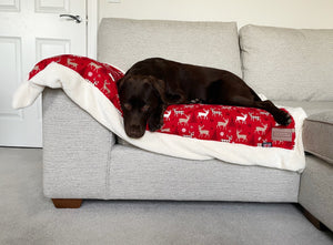 Christmas Blanket - Red