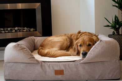The Lounger Bed - Sandy Beige