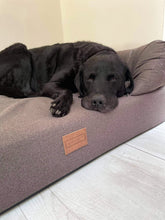 Load image into Gallery viewer, *REDUCED PRICE* Large Brown Loungers (new fabrics) - Topper not attached