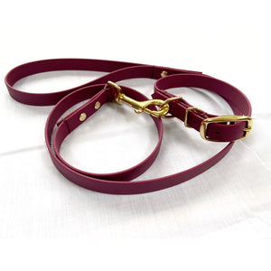 Biothane Matching Lead - All Colours