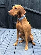 Load image into Gallery viewer, Biothane Waterproof Collar - Lilac Grey