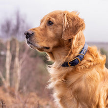 Load image into Gallery viewer, Biothane Waterproof Collar - Navy/Brass