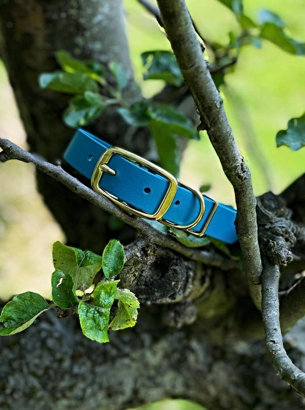 Biothane Waterproof Collar - Turquoise/Brass