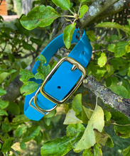 Load image into Gallery viewer, Biothane Waterproof Collar - Turquoise/Brass