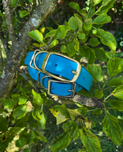 Load image into Gallery viewer, Biothane Waterproof Collar - Turquoise/Brass
