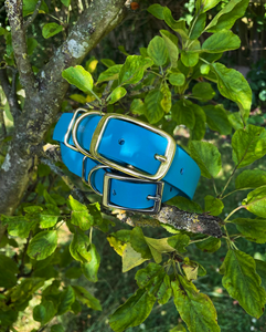 Biothane Waterproof Collar - Turquoise/Brass
