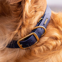 Load image into Gallery viewer, Biothane Waterproof Collar - Navy/Brass